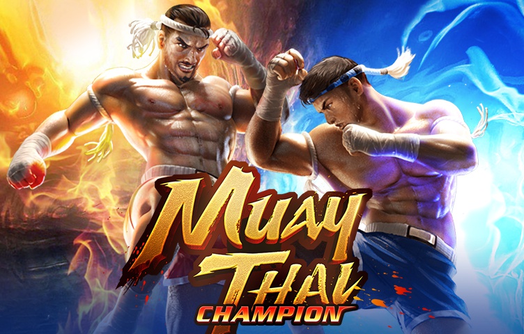 Muay Thai Champion